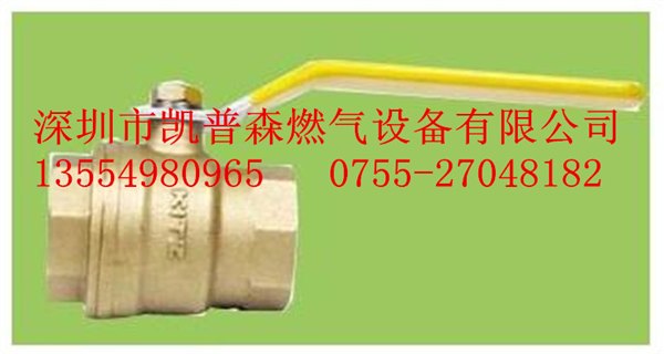 REGO安全阀3129G放散阀/3132G/3135G/3133G志清