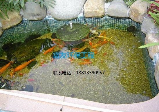 景观鱼池水过滤工程