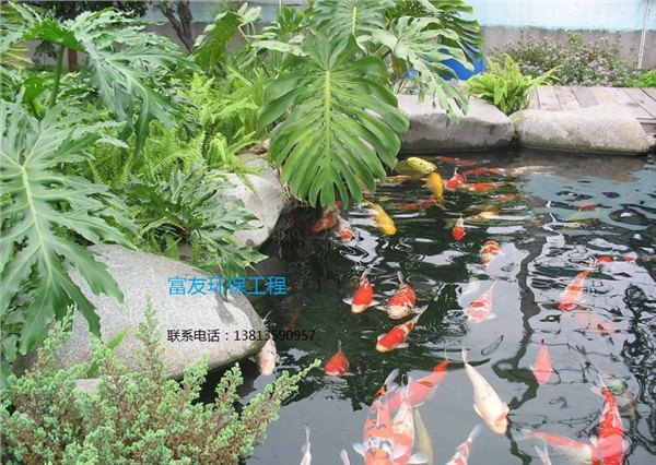 柳州市户外鱼池水过滤