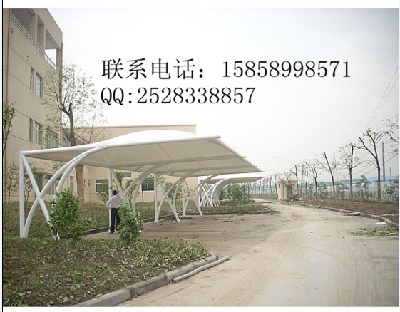 供应专业供应膜结构停车棚可定制