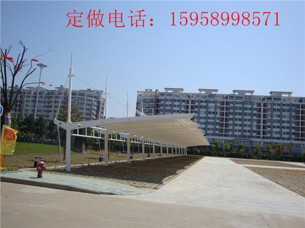 供应专业供应永康造型美观汽车棚