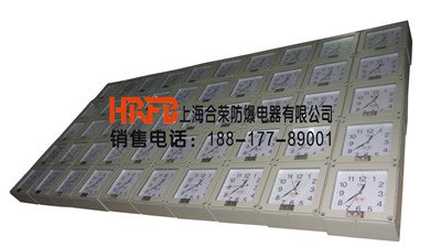 外面净处理BSZ系列防爆石英钟