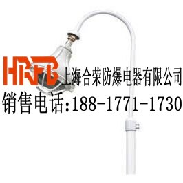 专业定制防爆路灯厂家