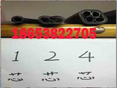 PE-ZKW8*2束管