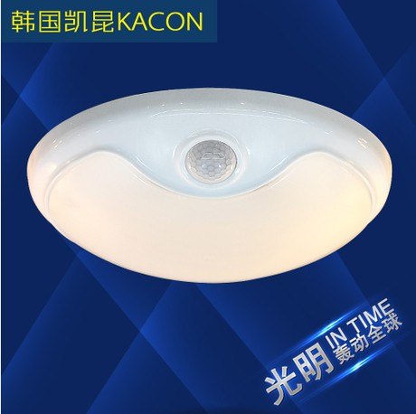 瑞和 4W人体感应吸顶灯 声控光控 厨房灯走道灯卫生间走廊灯阳台 