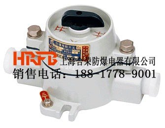 大量供货SW-10系列防爆照明开关