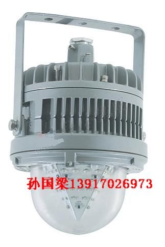 GCD613-Ⅱ防爆固态照明灯