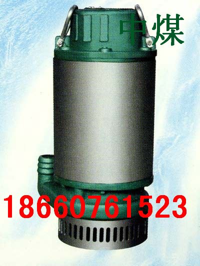 4KW潜水电泵,BQS防爆潜水泵,电动潜水排污泵,山东潜水泵,防爆潜水