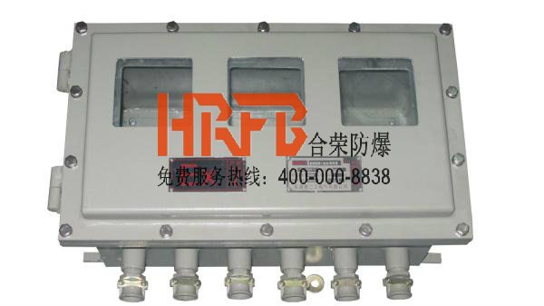 产品特点鲜明的防爆仪表箱厂家