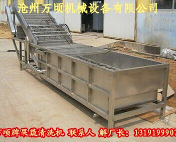 余甘子清洗机果蔬解毒清洗机