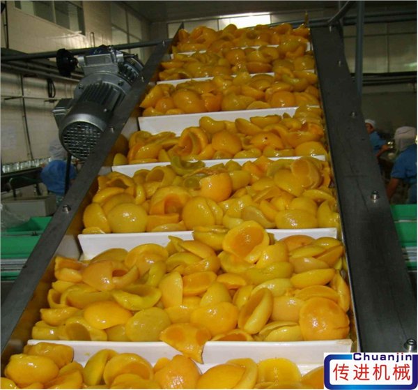 罐头原料输送机