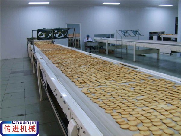 传进供应饼干输送机