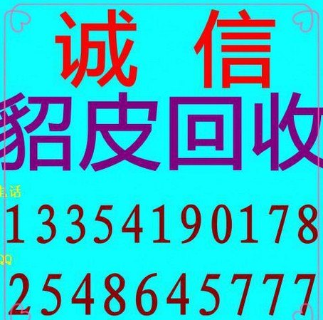 长春市区貂皮衣服回收