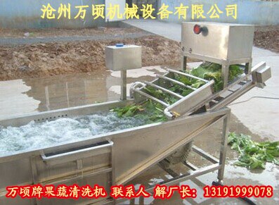 欧李果清洗机瓜果清洗机