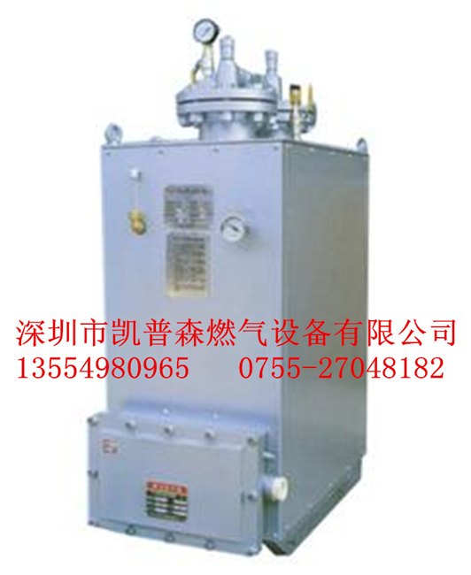 30KG至500KG电热式气化器气化炉 