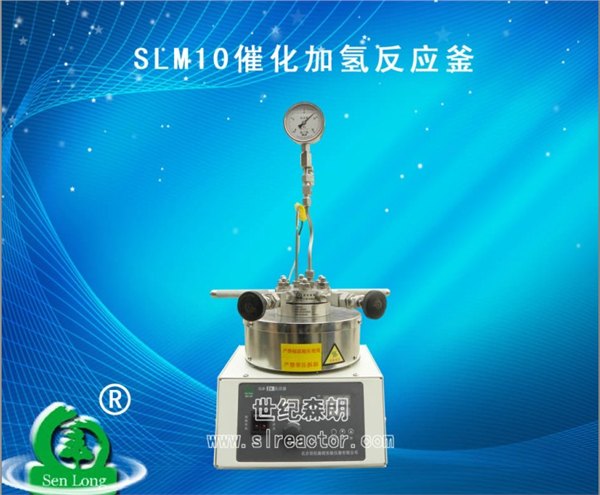 南京供应slm10催化加氢反应釜，催化氢化反应釜