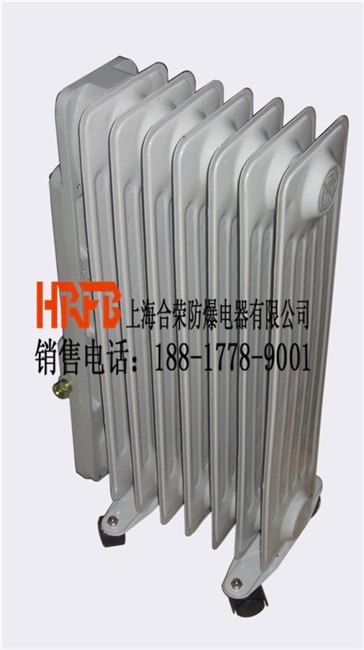 大量现货的BDR系列防爆电热油汀