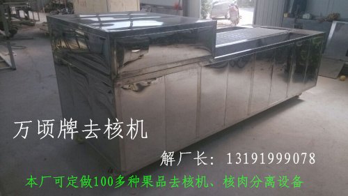 全自动红枣去核机
