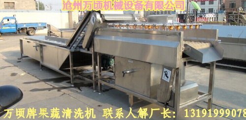 草莓清洗机滚杠喷淋清洗机