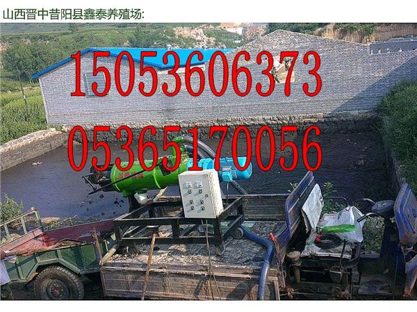 新型螺旋挤压固液分离机 专利产品掌握核心技术