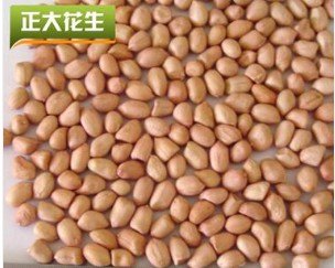 供应散装花生米