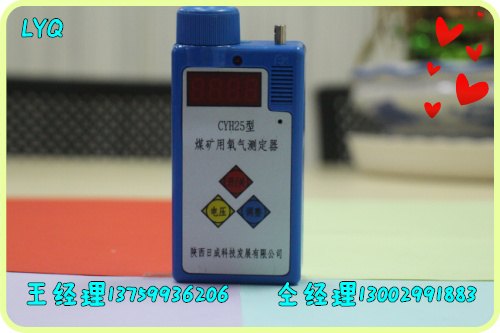 智能多参数氧气仪