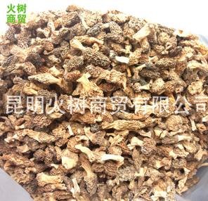 野生平脚羊肚菌