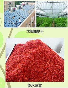 辣椒太阳能烘干系统