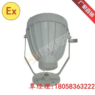 BAT51防爆投光灯价格|BAT51防爆投光灯图片