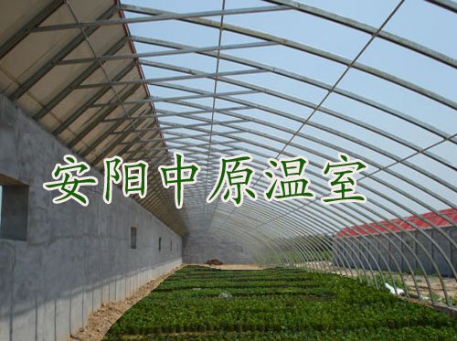 安阳几字钢大棚、郑州钢架大棚价格、安阳中原温室公司