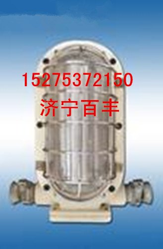DGC12/127L矿用隔爆LED支架灯DGC12/127L隔爆支架灯