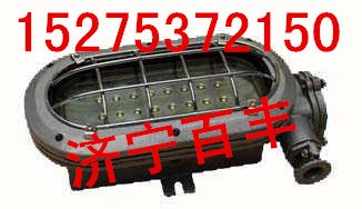 DGC18/127L(A)矿用本安隔爆支架灯DGS18/127L巷道灯