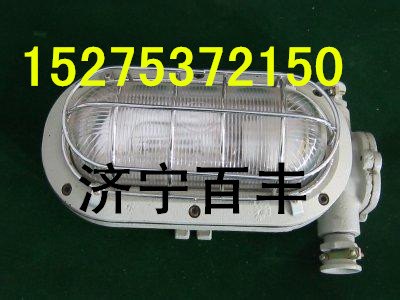 DGC35/127B(B)矿用隔爆金卤支架灯矿用隔爆金卤灯