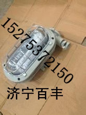 DGC35/127N(B)矿用隔爆支架灯DGC35/127N高压钠灯