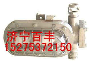 DGC55/127N矿用隔爆支架灯DGC55/127N隔爆支架灯
