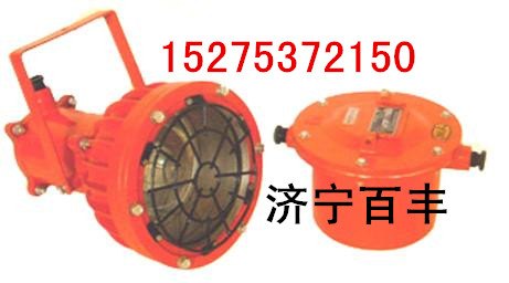 DGS175/127B隔爆投光灯DGC175/127B(A)隔爆投光灯