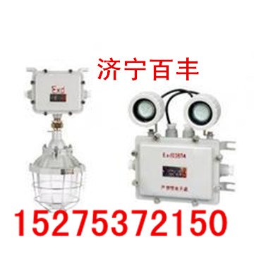 BAJ52/127防爆应急灯BAJ52/127防爆双头应急灯
