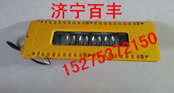 DGS10/127L(A)矿用隔爆巷道灯DGS10/127L矿用隔爆L