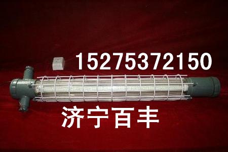 DGS18/127L(C)矿用隔爆LED巷道灯