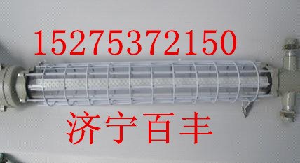 DGS30/127L矿用隔爆LED巷道灯