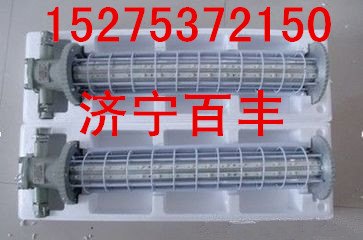 DGS48/127L矿用隔爆LED照明灯DGS48/127L矿用隔爆照