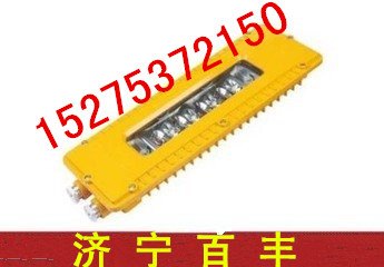 DGS50/127L矿用隔爆LED巷道灯DGS50/127L隔爆巷道灯