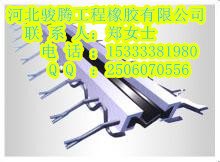 福州RG型伸缩缝　