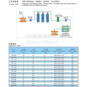 供应厂家直销水处理设备反渗透设备饮料原水