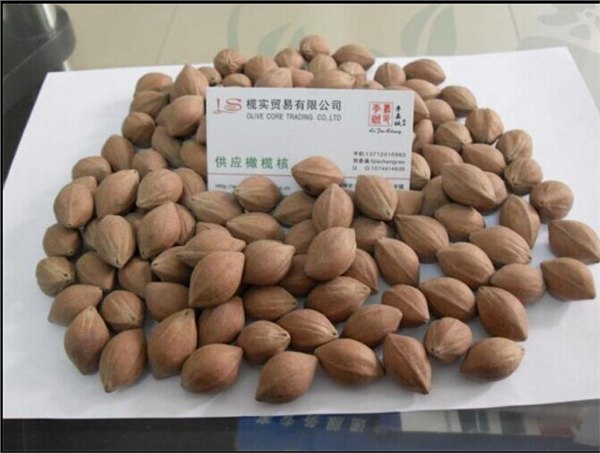 阳江大橄榄核原料-榄实贸易有限公司