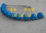 WZPK-131铠装热电阻