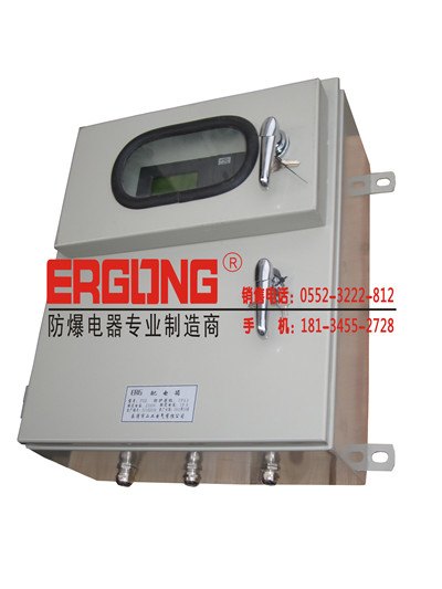 韩师傅推荐不锈钢喷塑防水防尘防腐仪表箱，带监视模块窗口.非标准定做