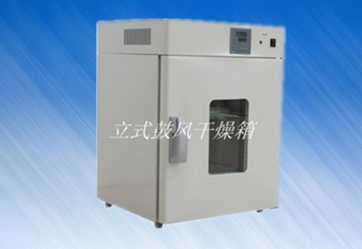 立式300度干燥箱DHG-9075A 300度电子类干燥箱