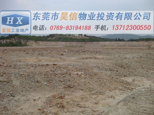 桥头工业地皮出售-昊信物业