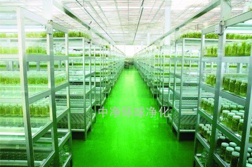组培无尘车间、无尘室